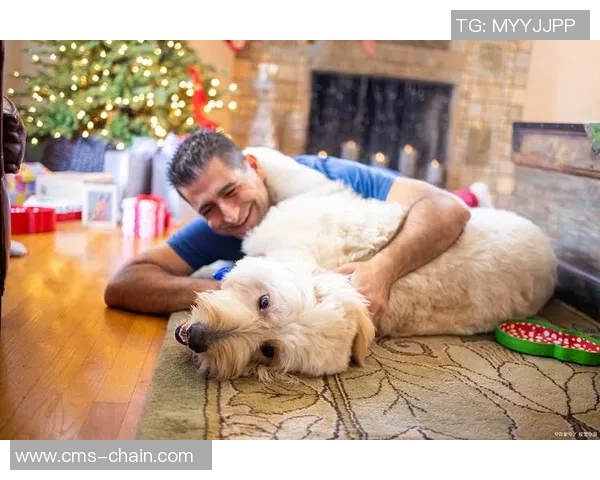 足球球星与宠物猫的独特情缘揭秘:宠物陪伴下的明星生活与温情瞬间 足球球星与宠物猫的独特情缘揭秘:宠物陪伴下的明星生活与温情瞬间