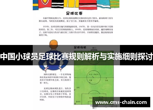 中国小球员足球比赛规则解析与实施细则探讨