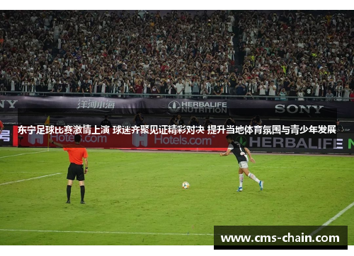 东宁足球比赛激情上演 球迷齐聚见证精彩对决 提升当地体育氛围与青少年发展